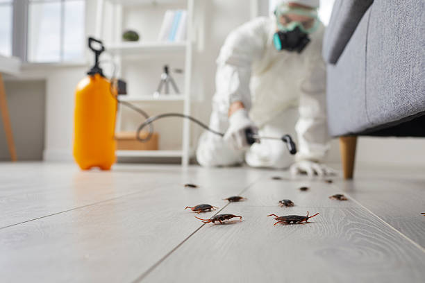 Commercial Kitchen Cockroach Control in Isle of Palms